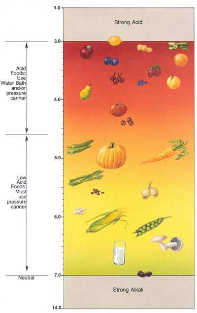 Chart of Acidity of Foods
