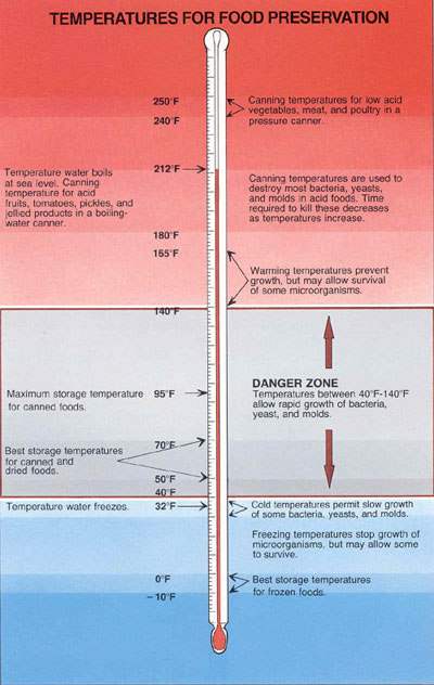 Chart of Temperatures for Food Preservation